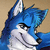snowhusky