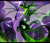 BonicleDragon