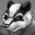 Konubadger