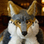 GraniteTheWolf