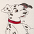 ToonFurry
