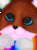 FoxyRainbowz