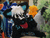 Saiyu