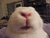 Bunster07