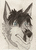 WolfLover13