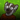 aggrobadger