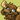 NaniMoose