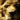 LionBeef