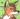 swiftfox