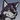Huskion
