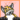 Yfoxy