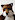 ShyWolf42