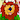 jacklionbear55