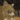 furryguild