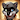 tanuki