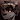 JaketheCoon