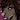 QTYeen