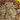 Ajani