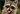JackalRose