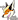 Dashofweak