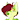 KiwiFox