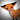 Irusufox