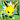 RaiDaJolteon