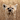 FelixWolf