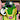 VectorRemix