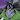 iZoroark03