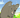 GaianUrsus