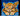 TiggyCat