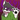 StrangelyFox