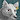 MatthewWolfbane