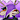 CharlieTheSillyDeer