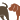 SmellyTailstar