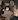 Raccoonie