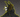 Daxx019