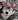 AkariHusky