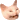 Anyonarex