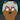 Jimbear