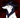 Arkright