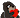 ImAnOtterFYI