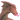 araphre