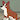 GondolianCorgi