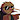 MrKiwi