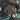 Inkune