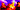 Lufeed