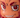 SGAD