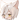 Firstloli
